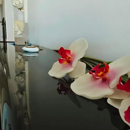 Vintage Art On The Sea Apartment Thessaloniki